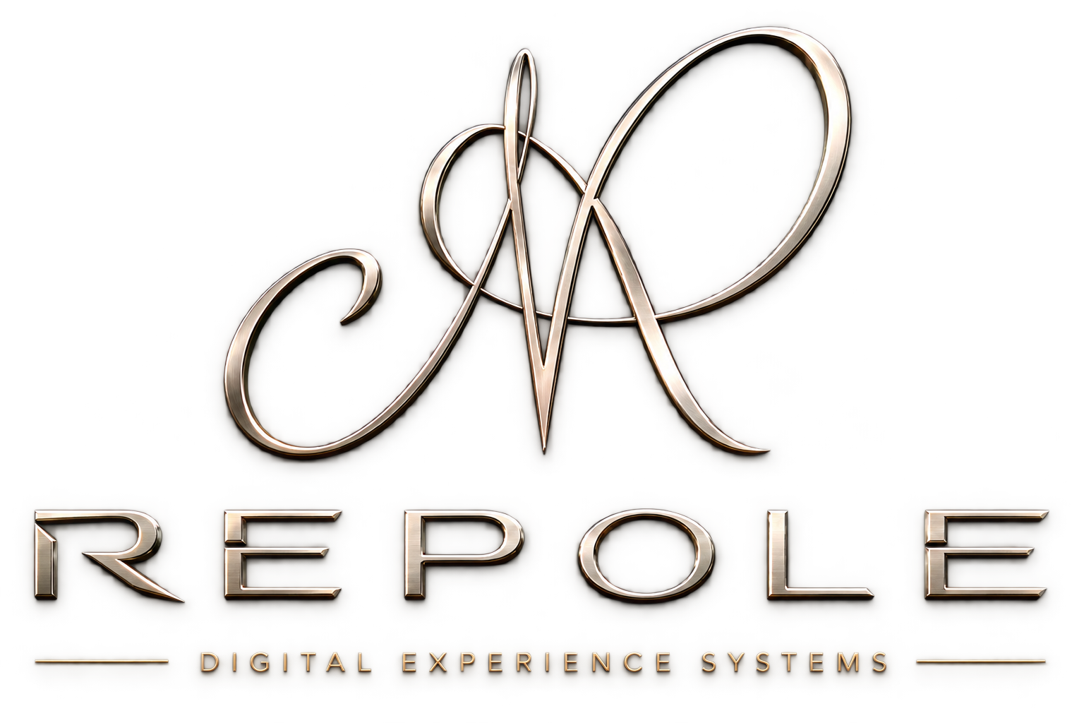 REPOLE — Digital Experience Systems